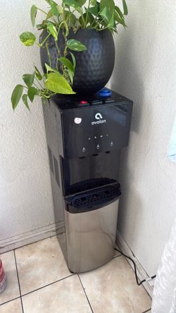 Water dispenser