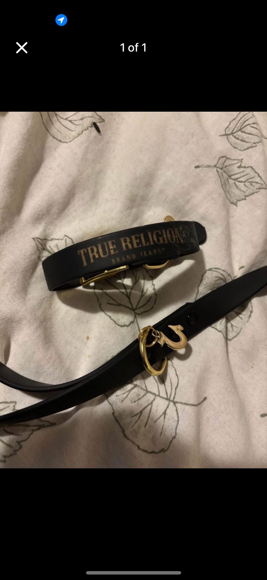 true religion collar & leash 