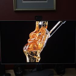 Samsung G60SD 27” 1440p 360hz OLED Gaming Monitor