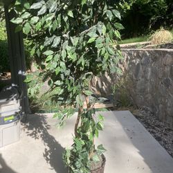 Large 6 Foot Artificial Tree Wicker Base