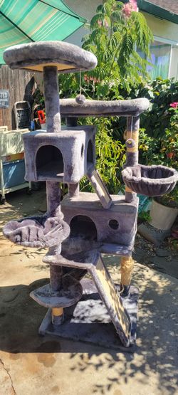 5ft tall cat tree for $20 in great shape one scratch post needs repaired