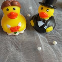 Bride And Groom Ducks 