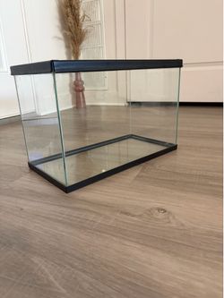 Terrarium tank 5 gal