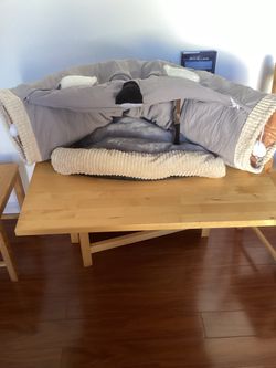 Cat bed with tunnel