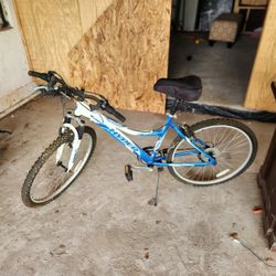 BIG MOUNTAIN BIKE