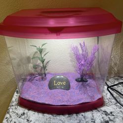 Small Fish Tank 