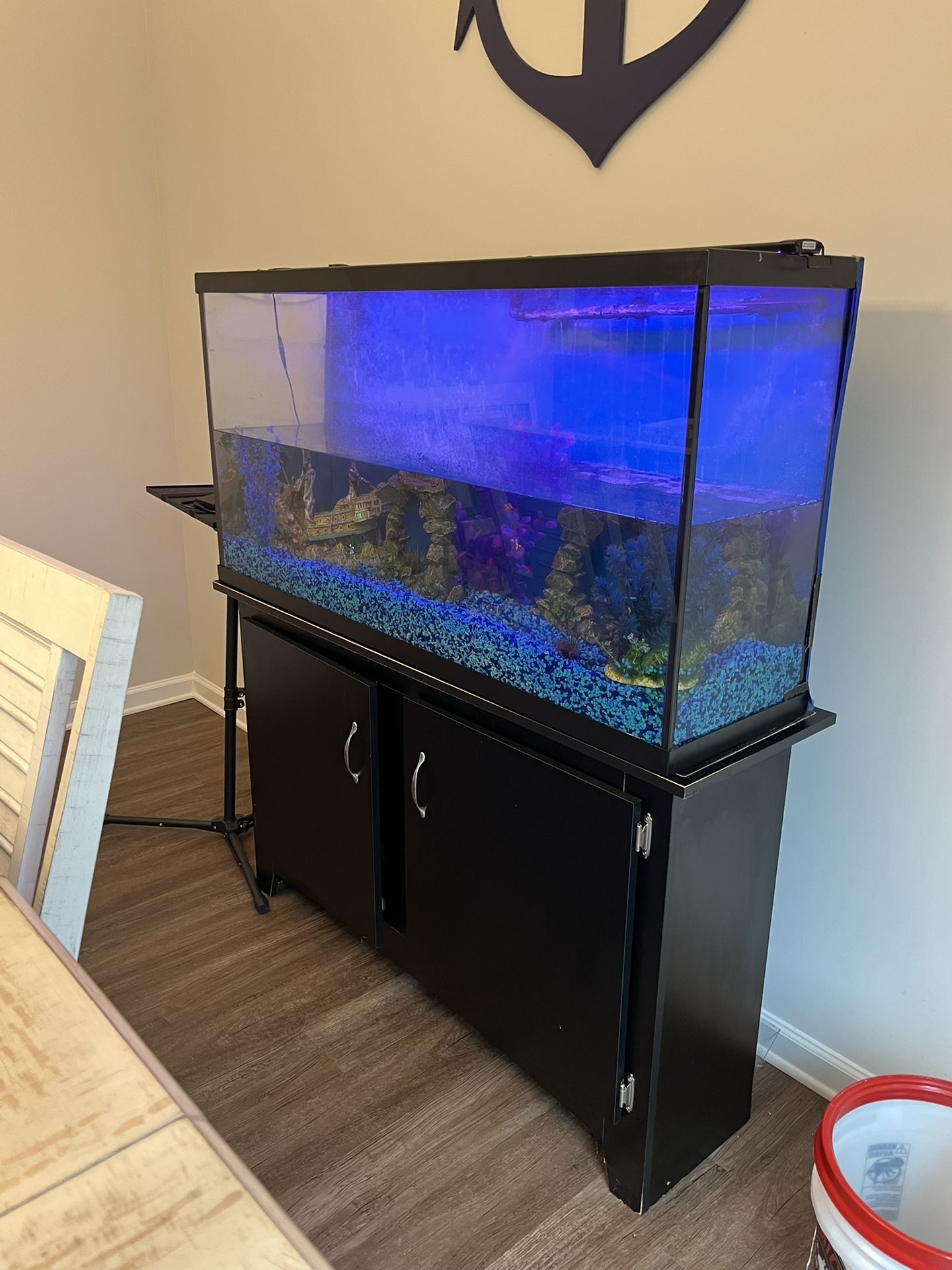 50 GALLON FISH TANK