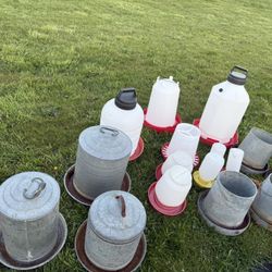 Chicken, Raising Equipment, Feeders, Waters, Carrying Crates And More