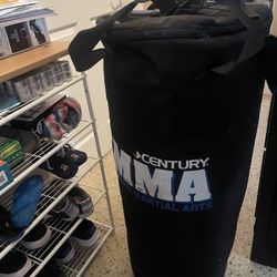 Punching Bag