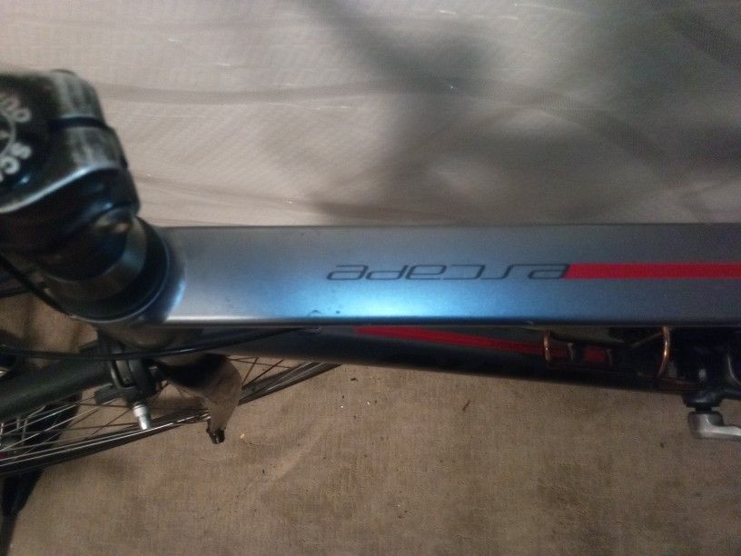 Giant Escape Road Bike