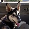 Riley