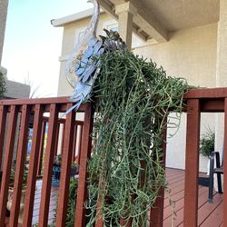 Yard Art 4sale Or Trade