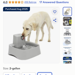 Auto filter pet water fountain dog cat