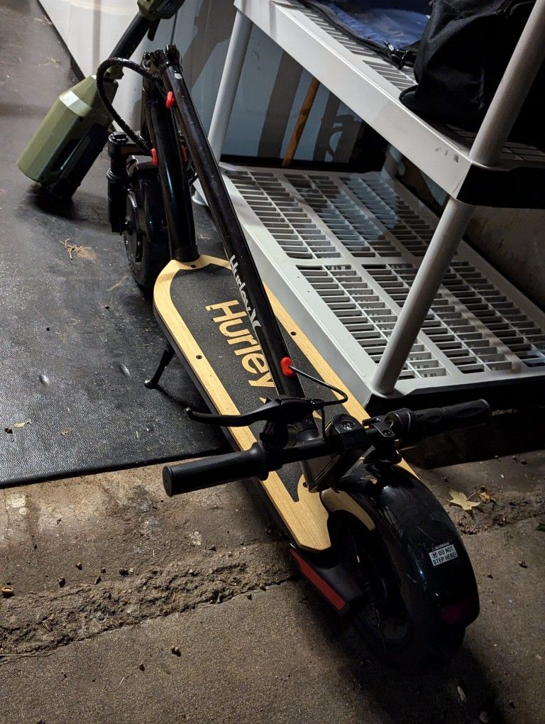 Hurley Electric Scooter Juice 36V Foldable
