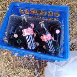 Coke A Cola Glass Bottles Unopened Mini Classic 