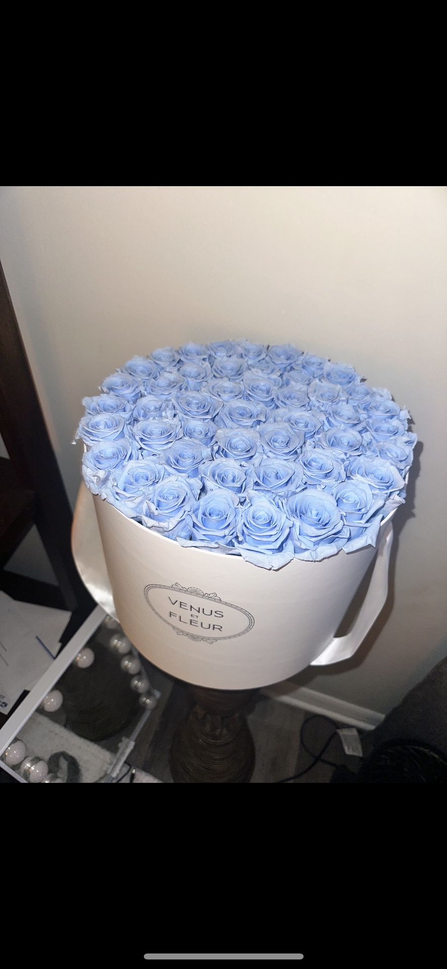 Venus Et Fleur Baby Blue Eternity Roses