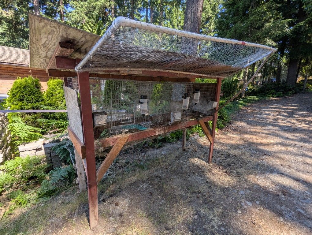 Rabbit Hutch