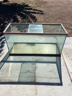 Aquarium/Tank