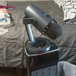 Microphone 