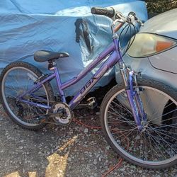 Dbx 24 Inch Mountain Bike READY TO RIDE 