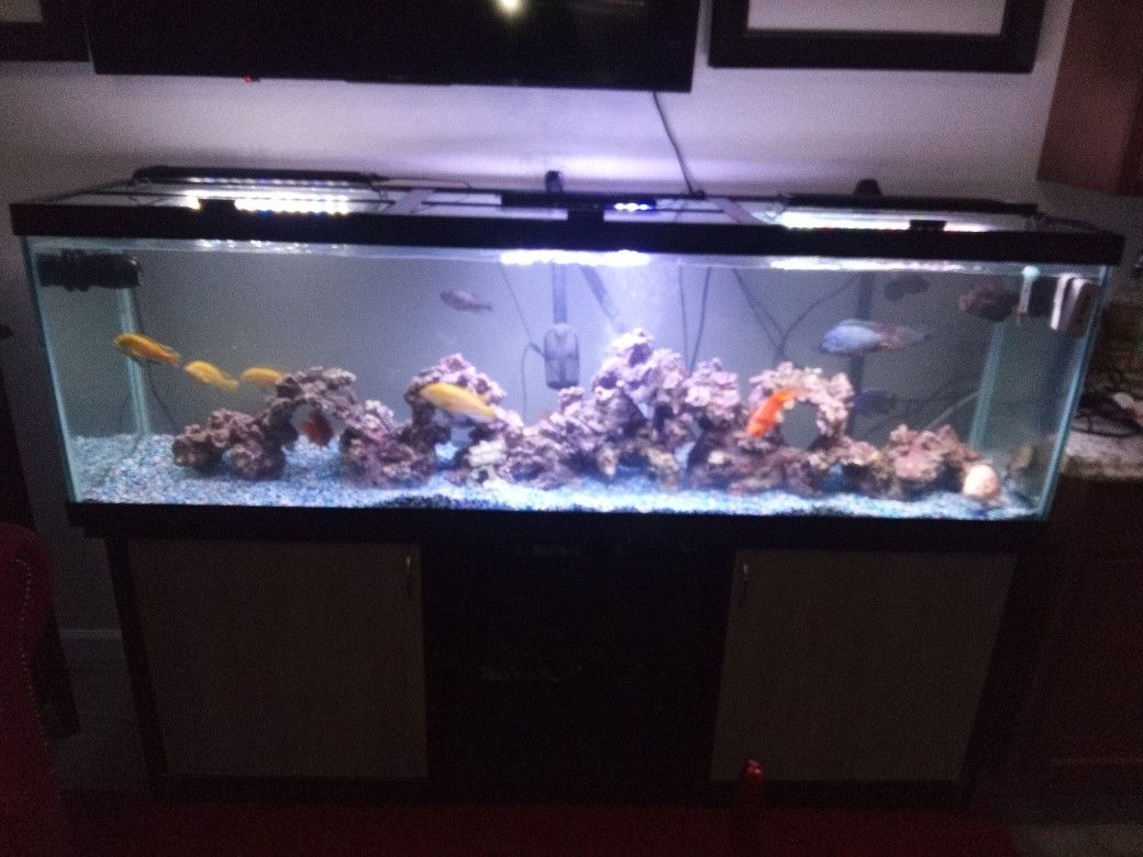 Top Fin 125 Gallon Fish Tank And Stand Ensemble 