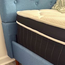 FREE QUEEN MATTRESS