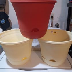 vace para  plantas a $7 cada una