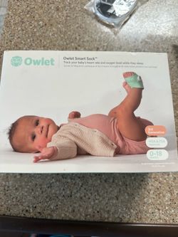 Owlet $65
