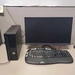 HP Computer Win 11 Office 2021 