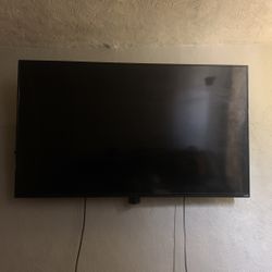 Large Screen Tv (with Mount)