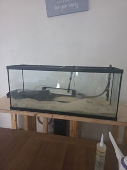 50 gallon
