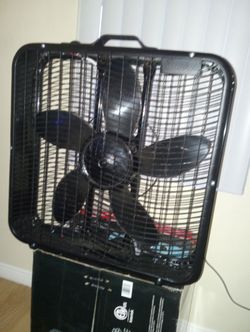 Black fan 3 speed new