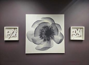 Flower Canvas Photo