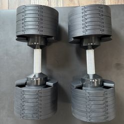 80 Lb Adjustable Dumbbell Pair