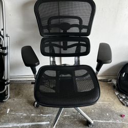 Ergohuman Raynor Mesh Office Chair