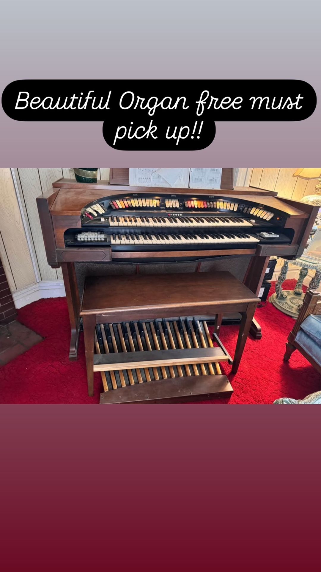 Free Organ