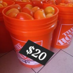 Tomate$20 El Bote