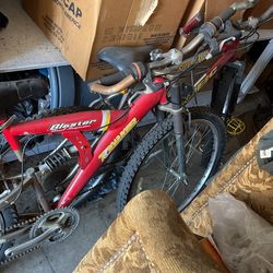 Mountain Bicycle