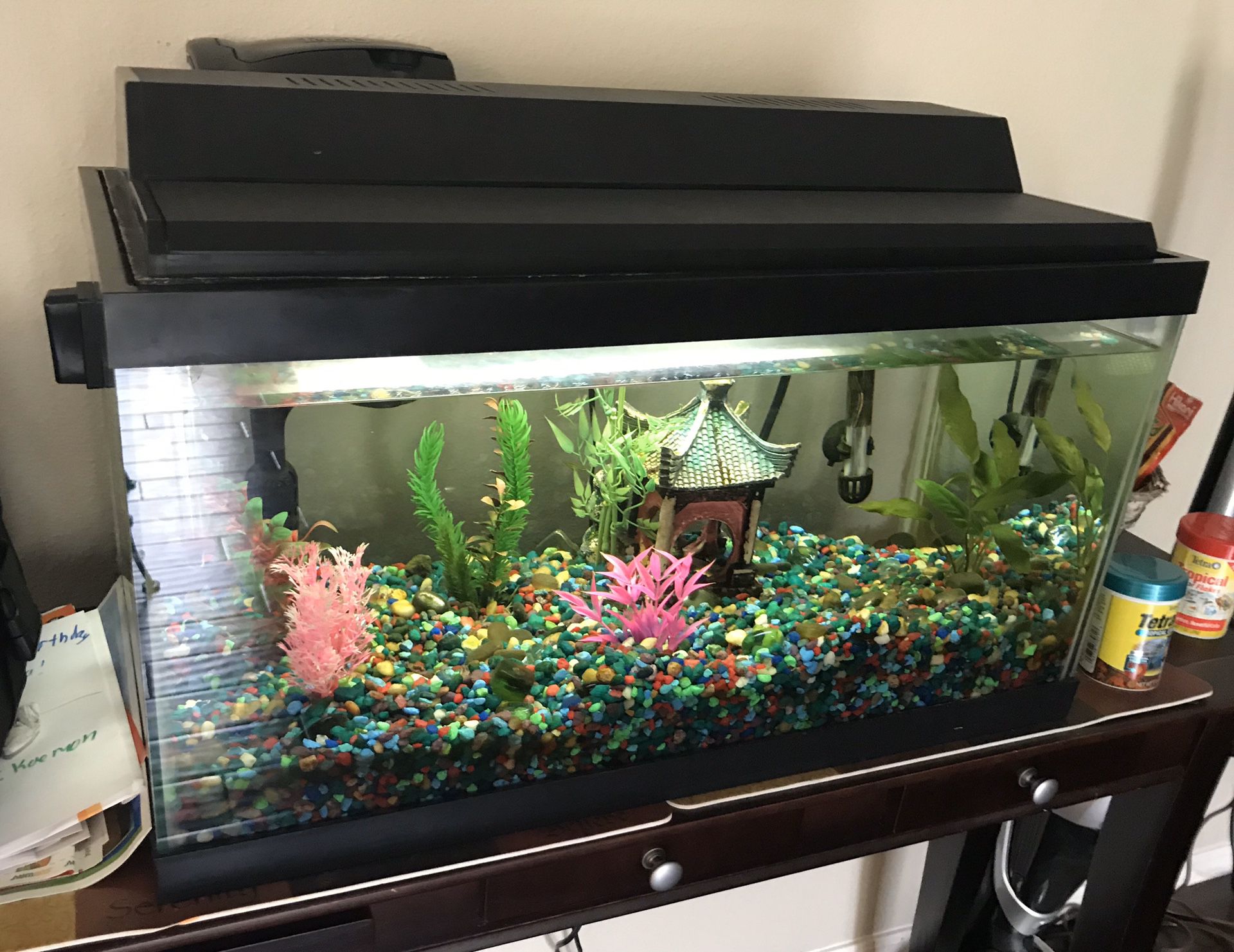 20 Gallon Fish Tank with lots of extras