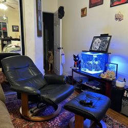 Mid Century Modern Chair 