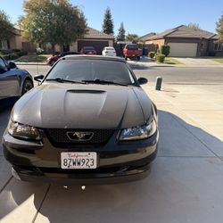 2000 Ford Mustang