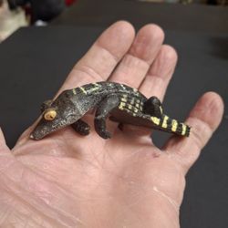 Mini Alligator Collectible Figurine, Hand-painted Designed For Education, Non-Toxic BPA Free PVC Plastic 3" Long