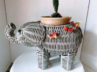 Elephant and Cactus