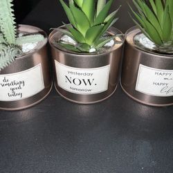 Set Of 3 Faux Plants 
