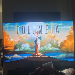 65” Lg OLED 4k Smart Tv (OLED65C8PUA)