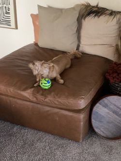 Large brown ottoman