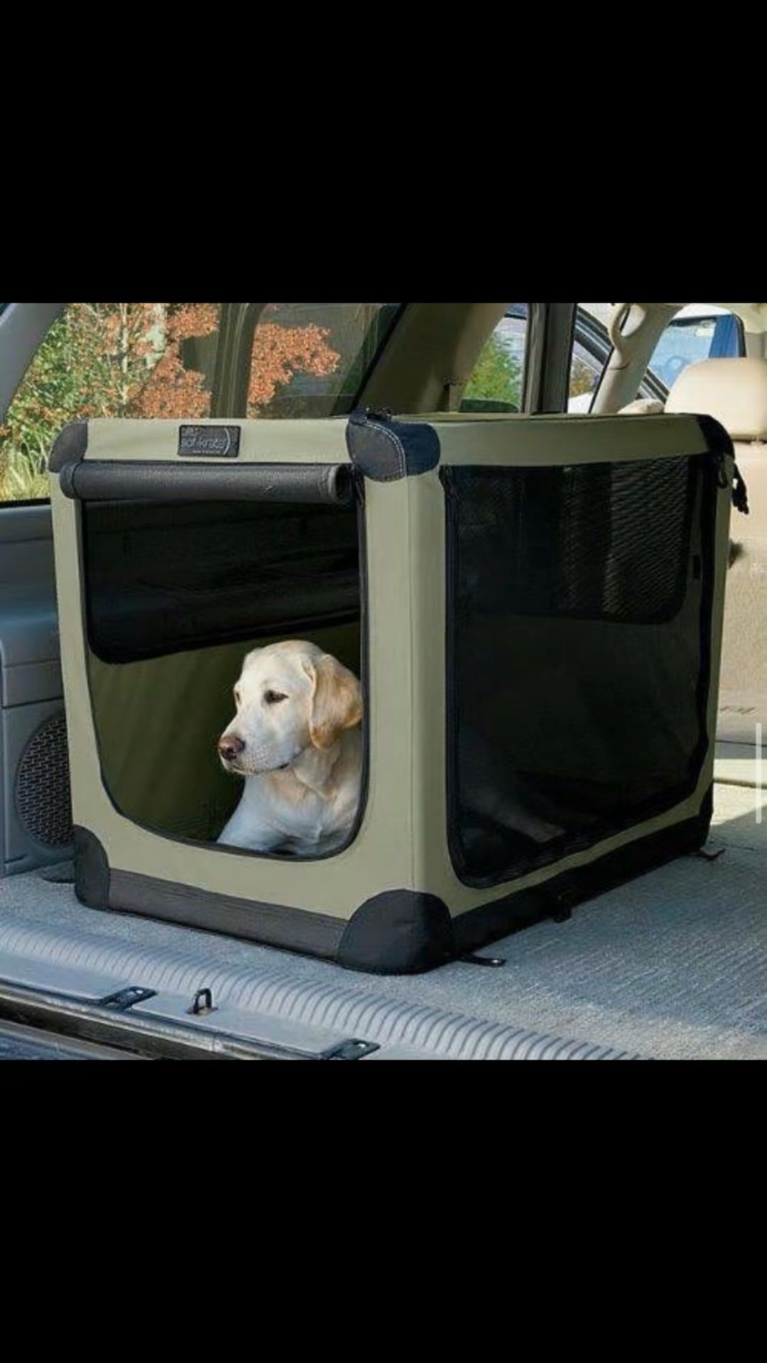 Get Your Pets Amazing Home