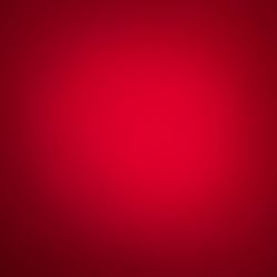 Bmw Mercedes Audi Volkswagen Toyota Nissan Honda Mazda Ford Chevy Dodge Chrysler Buick Kia Hyundai