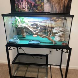 Reptile Tanks w-Accessories Kit 