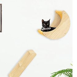 Cat Hammock Wall Mounted Cat Shelf